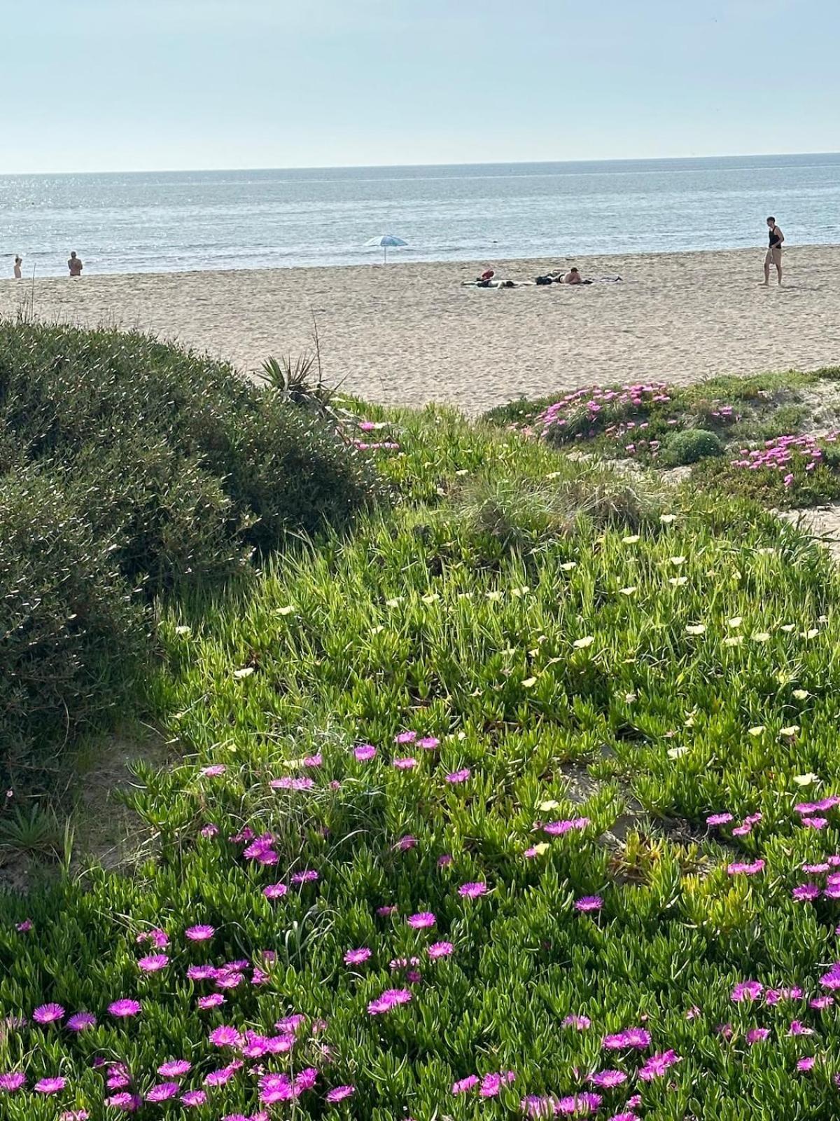 By The Sea *